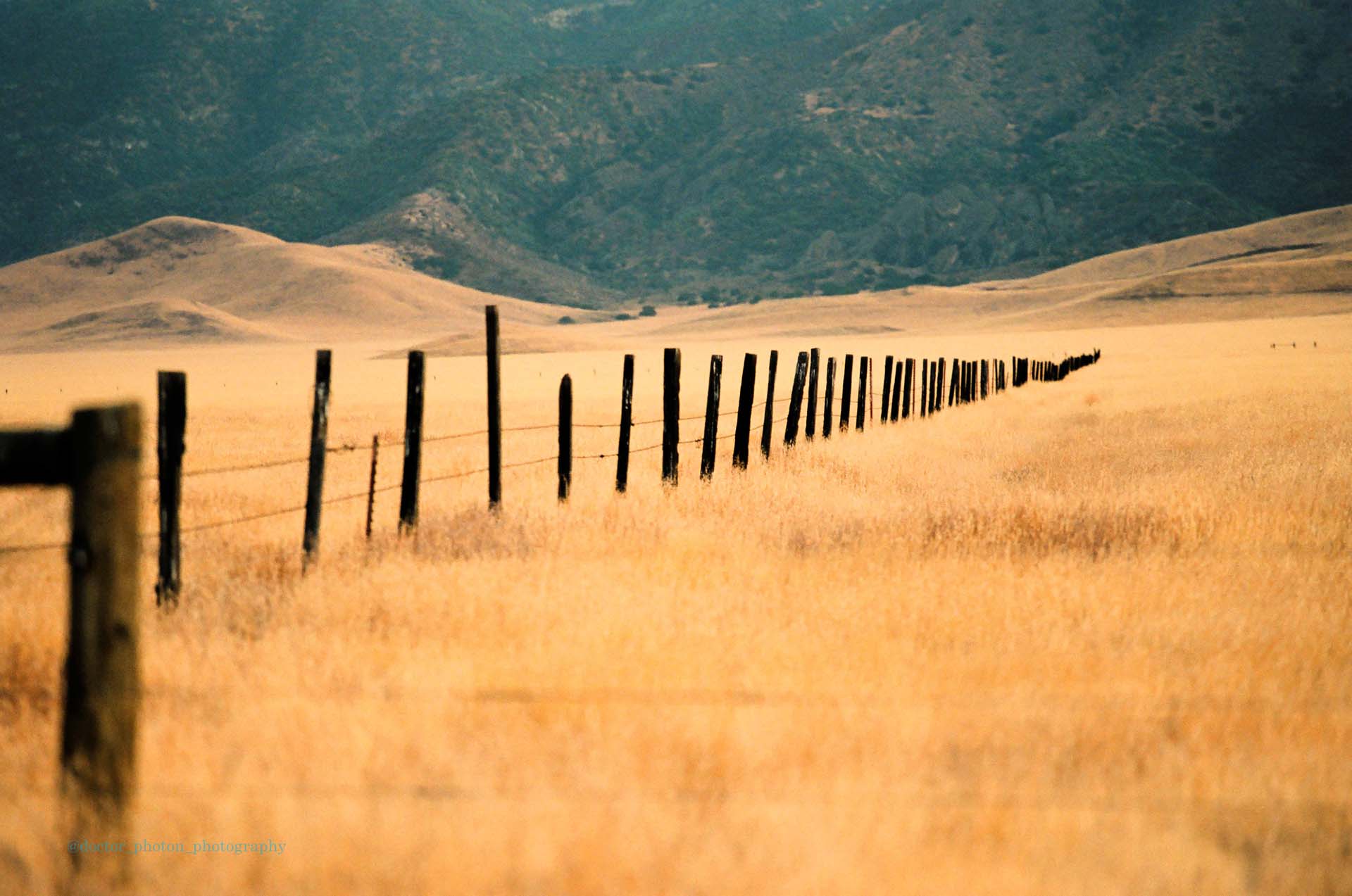 Carrizo Plain fence