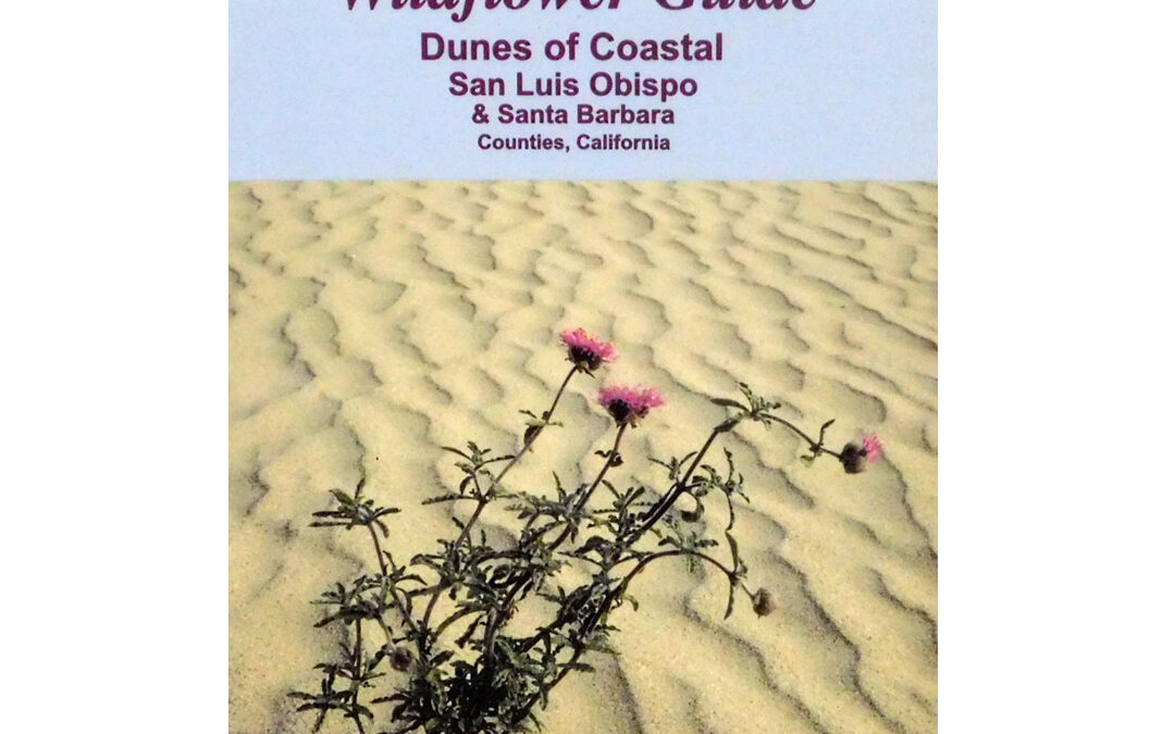 Dune Mother’s Wildflower Guide