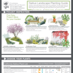 thumbnail SLO Planting guide