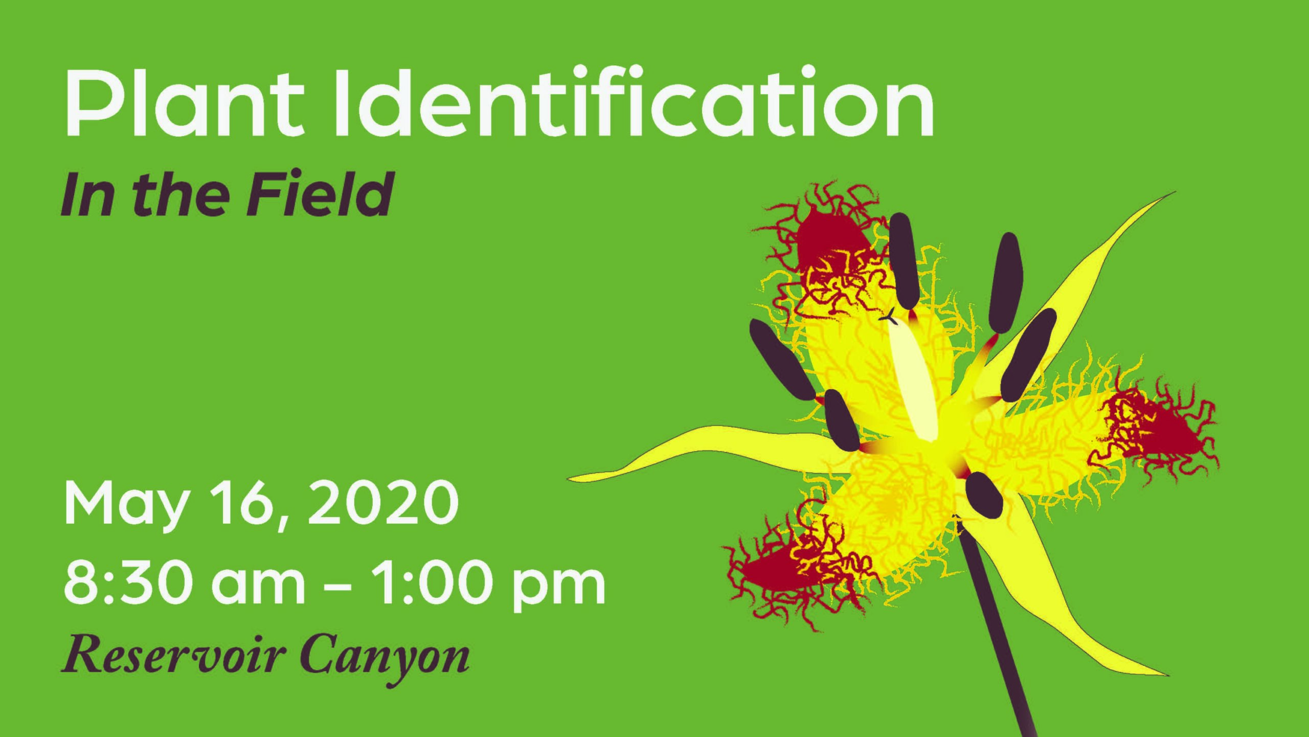 Canceled – Workshop: Plant ID in the Field