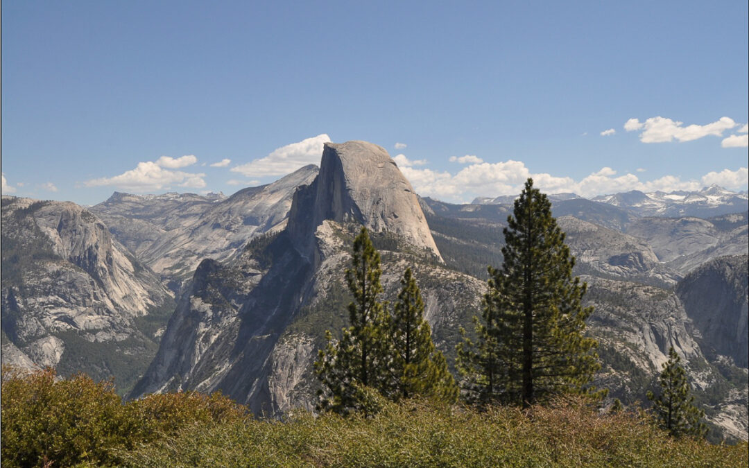 Yosemite’s Alpine Plants in a Changing Climate