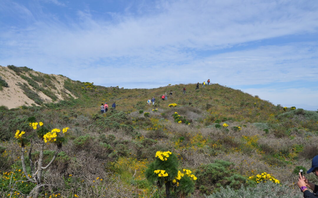 Coreopsis Hill Hike
