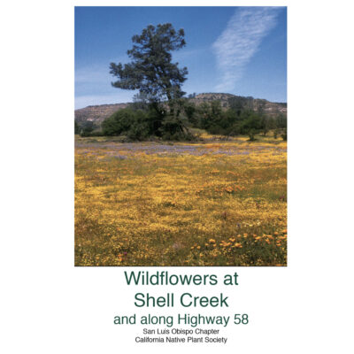 Wildflowers at Shell Creek and along Highway 58 California Native Plant Society San Luis Obispo