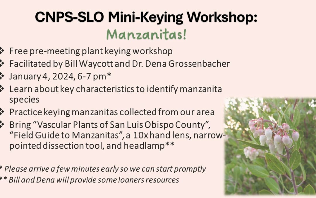 Manzanita Mini-Keying Workshop