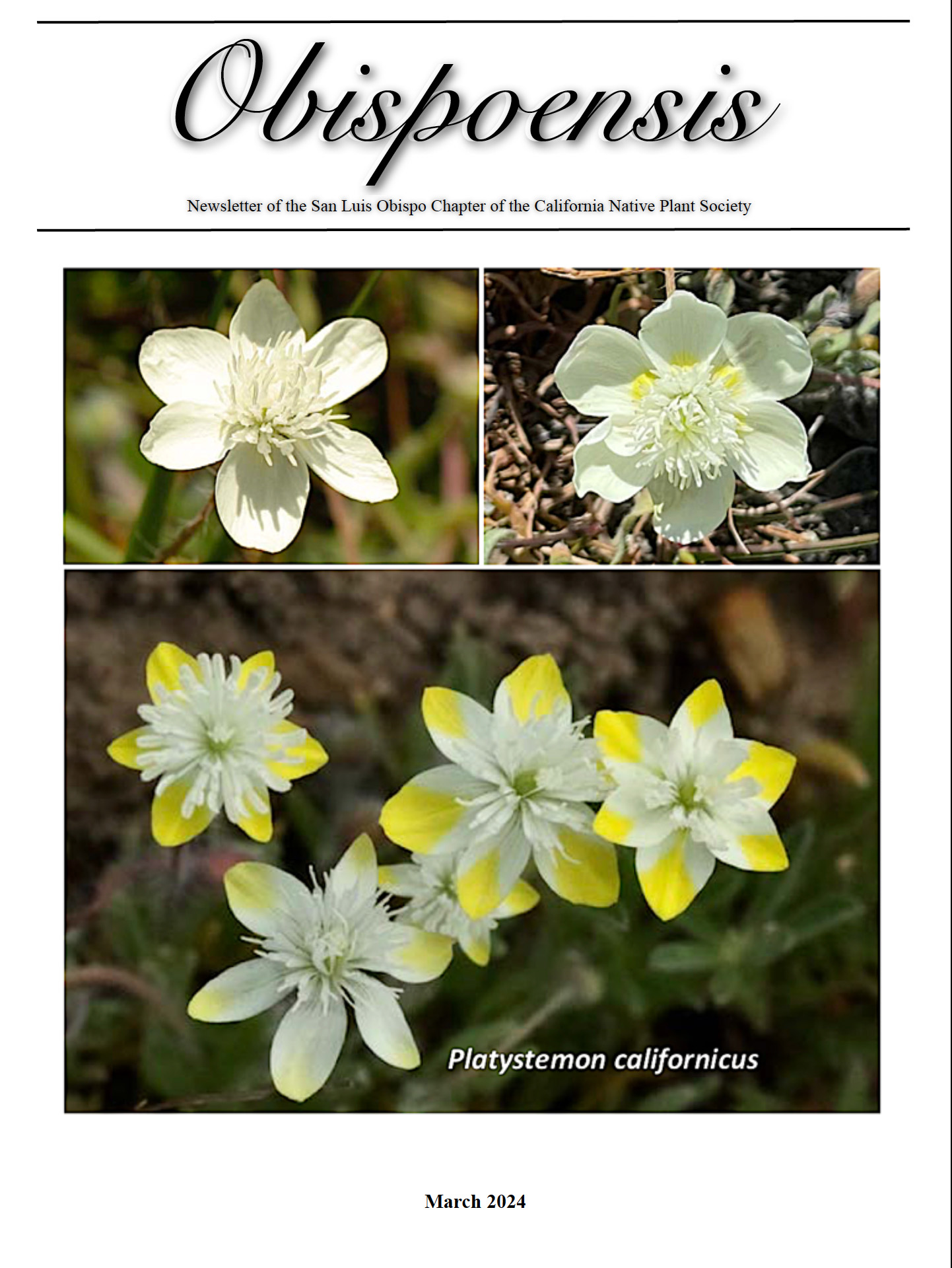 Obispoensis Newsletter March 2024 California Native Plant Society San Luis Obispo
