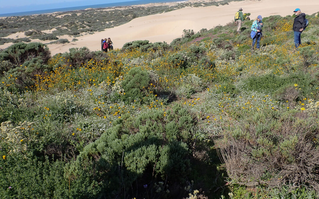 Hike to Coreopsis Hill